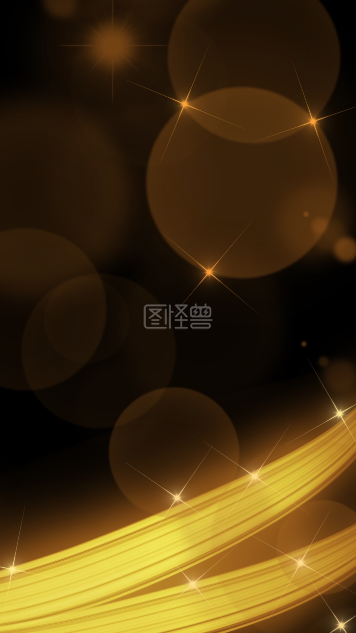 图怪兽原创元素简约黑金商务风h5