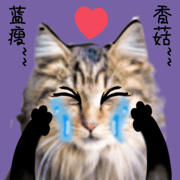 gif动图模板猫咪搞怪动态表情包