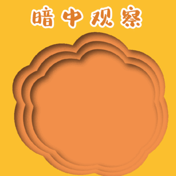 gif动图模板猫咪暗中观察动态表情包