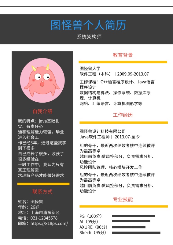 黑色白色线条简约系统架构师求职简历