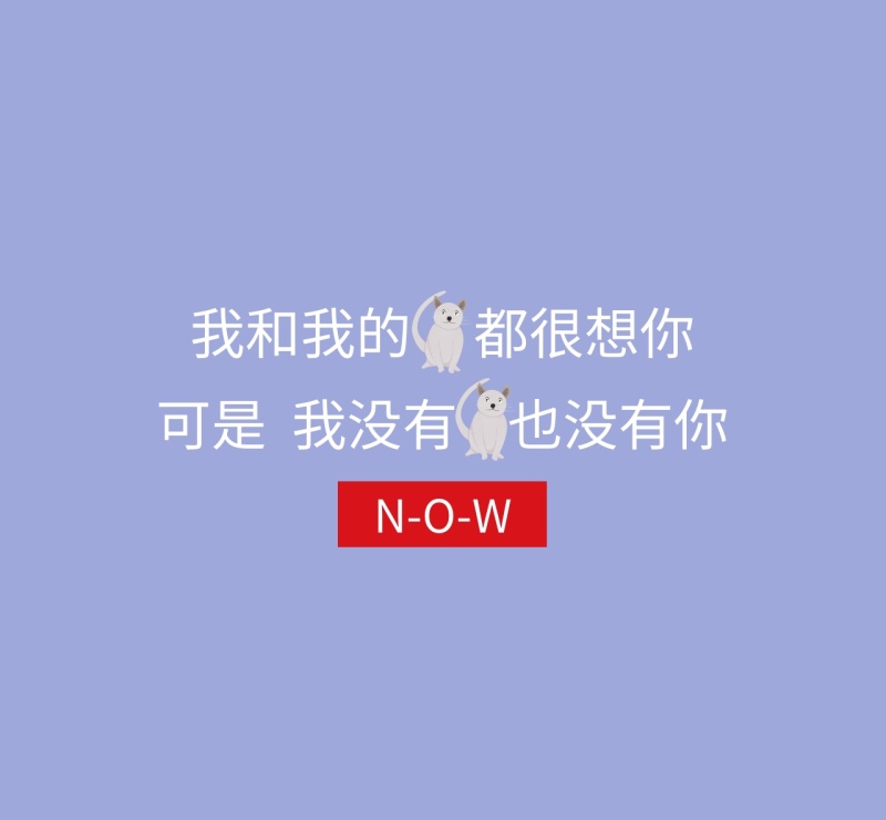 我和我的猫都很想你朋友圈封面