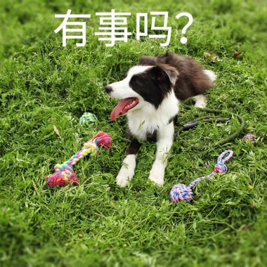猫星人疑惑我是谁我在哪可爱趣味问号表情楼楼动态表情手机包图片