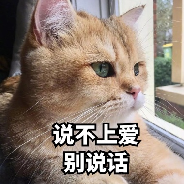 别吃饭不用的说话表情表情包图片