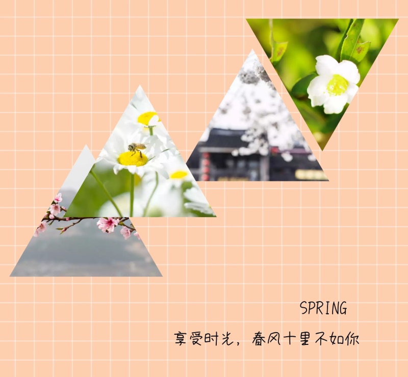 SPRING 享受时光,春风十里不如你 春季拼图朋