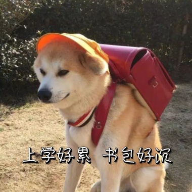 卡通男孩上学表情的脸打被表情捂图片包图片