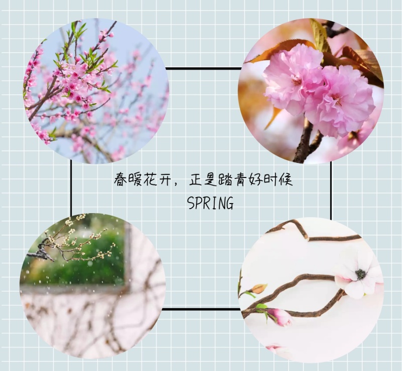 SPRING 春暖花开,正是踏青好时候 春季拼图朋