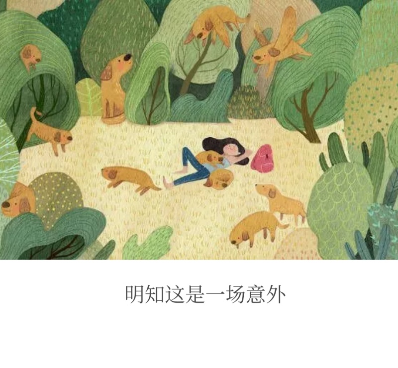 明知这是一场意外朋友圈封面