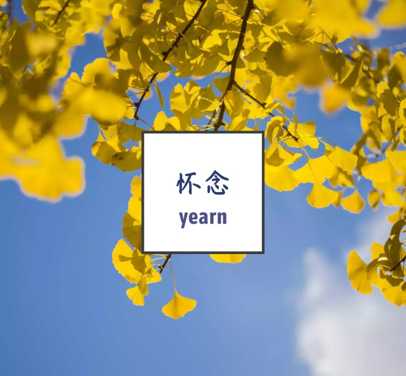 怀念韩风韩系绿叶插画英文绿色