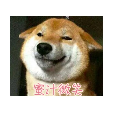 狗子v表情眯眼温和可爱表情linux表情包图片