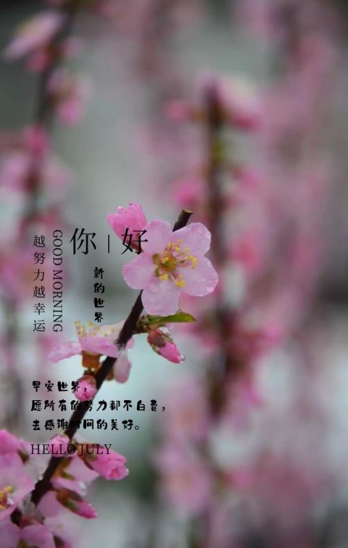 早安你好励志箴言简约文艺手机海报