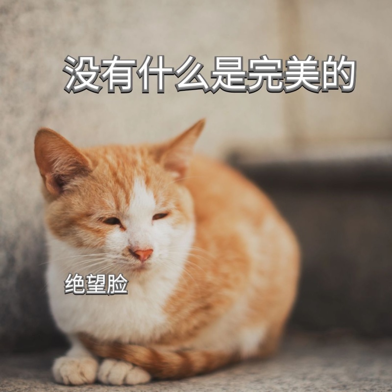 丧丧猫咪没有什么是完美的表情包