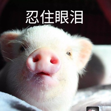 忍住个性有趣创意可爱表情配图网表情包头像小眼泪情侣图片