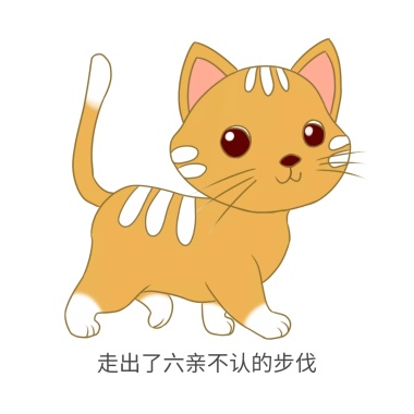 sb搞笑表情头像比基兔猫咪表情包图片