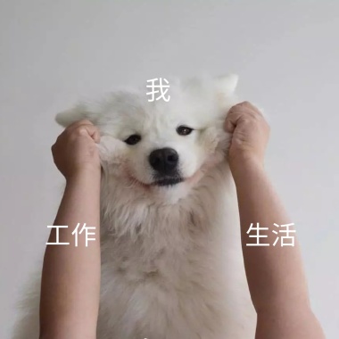 我喜欢被v表情抽干表情表情包飞跑的鸡图片