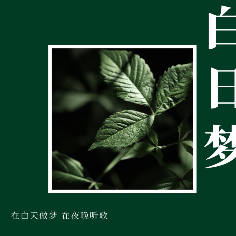 文艺绿色小清新CD封面拼图