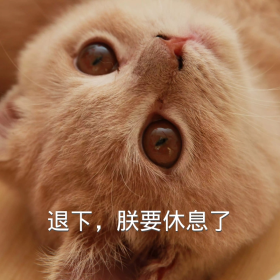 表情模板表情_生活娱乐自嘲|老虎综合排序诛仙表情图片动态图片