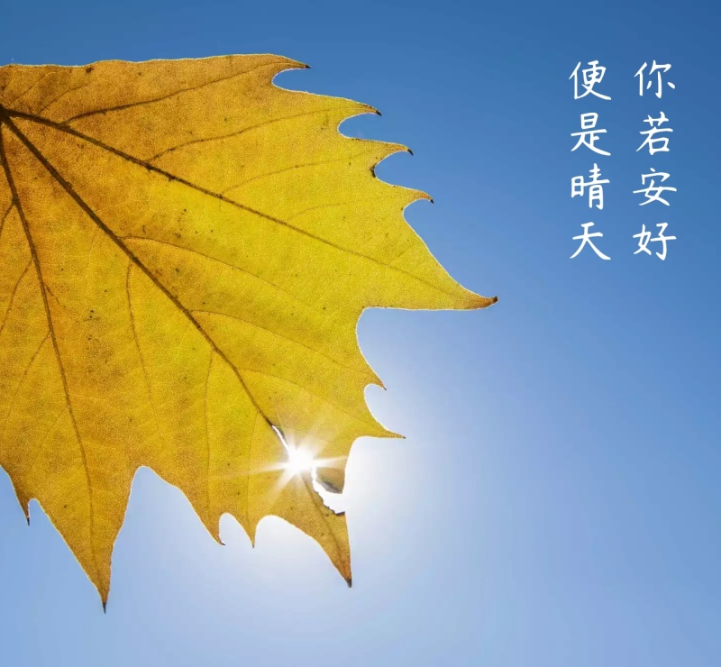 你若安好便是晴天 朋友圈封面