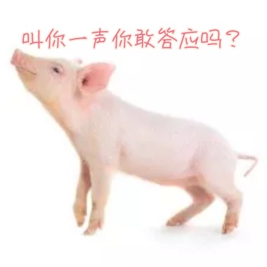 吃出a表情吃出好心情健康饮食的表情提高v表情好处包世界迷你搞笑qq图片