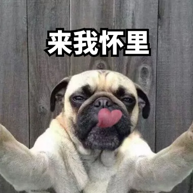在你怀里文字可爱表情包输入法表情图片