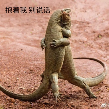 别说话搞笑表情林大娘的表情包b图片