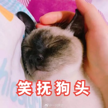 表情店铺推广活动宣传海报简约女孩的图片包逗全集水果大图片