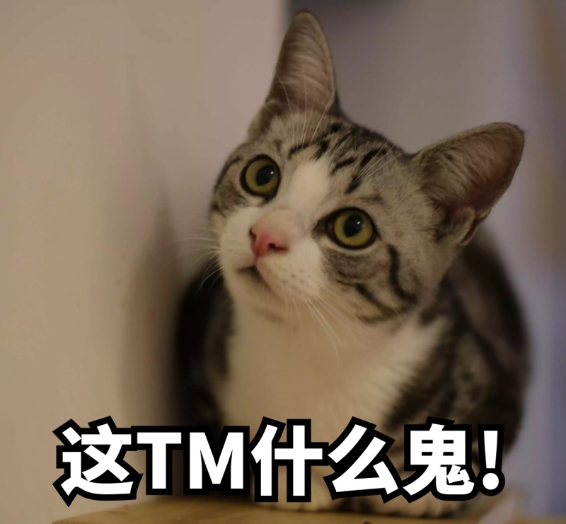 这TM什么鬼表情包朋友圈封面