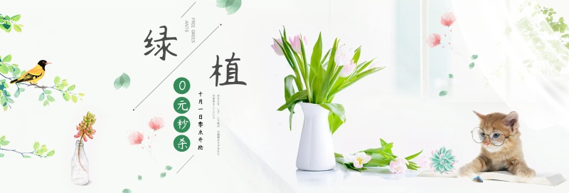 小清新桌面绿色植物猫咪多肉绿植促销海报ba