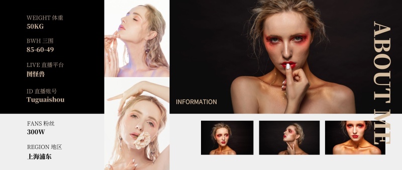 黑灰极简风摄影图拼接横版模卡