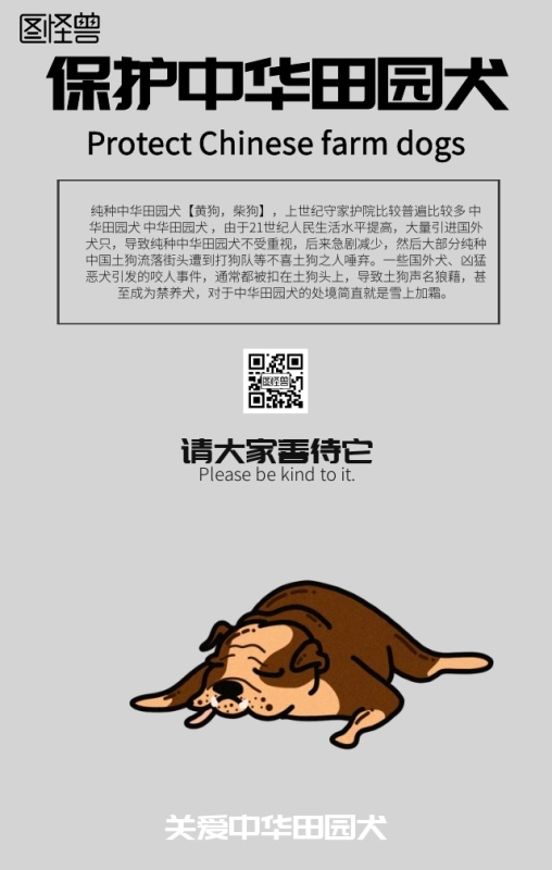 关爱爱护中华田园犬海报