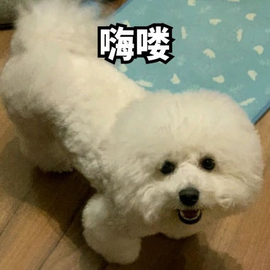 不嗨了不嗨嗨不动了搞笑表情赫鲁晓夫表情玉米包图片