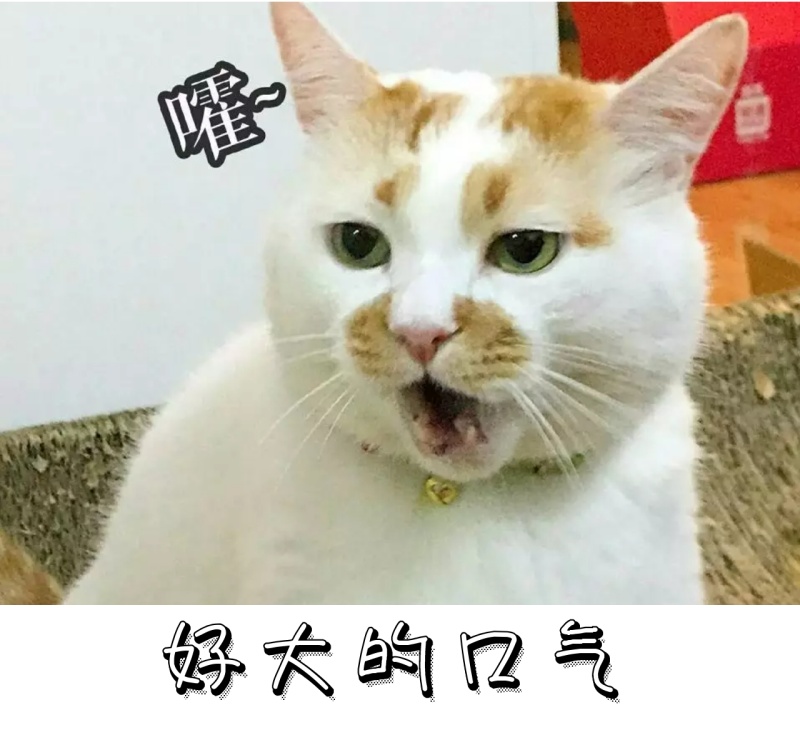 好大的口气 朋友圈封面