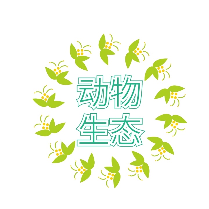 动物生态培训logo设计