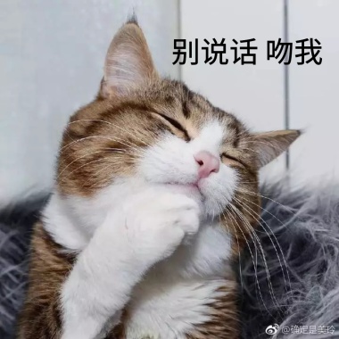 别说话吻我表情表情包金花搞笑炸图片
