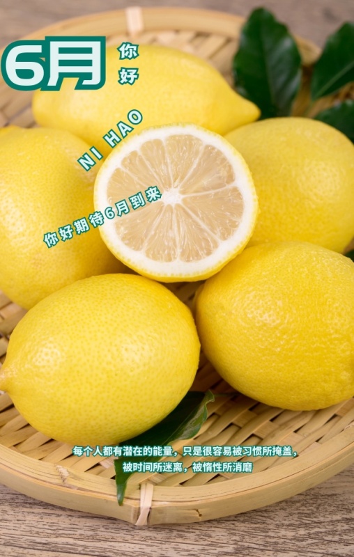 你好六月励志箴言绿色清新手机海报