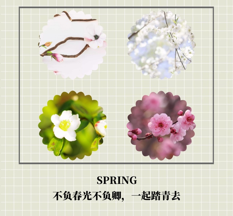 SPRING 不负春光不负卿,一起踏青去 春季拼图