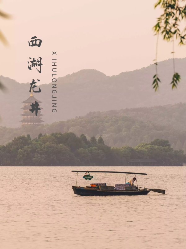 禅茶文化中国风海报