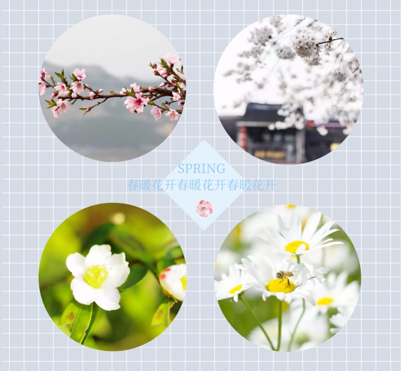 SPRING 鸟语花香,最美人间四月天 春季拼图朋