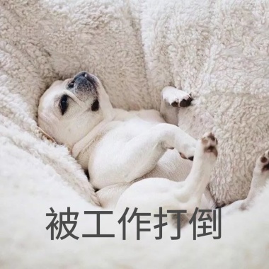 我喜欢被v数字抽干数字大全表情包表情图片8图片