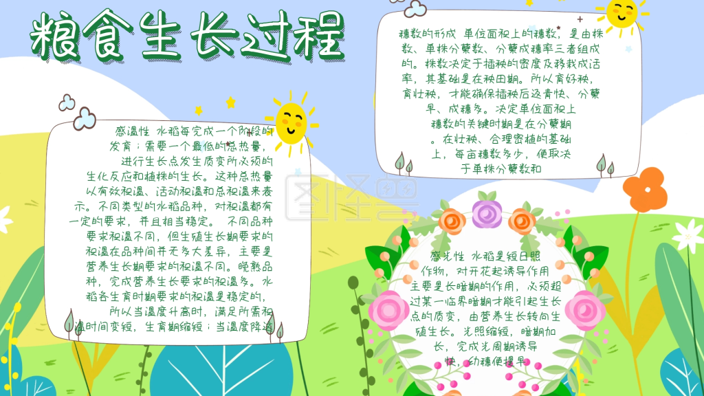 简约宣传粮食生长过程手抄报