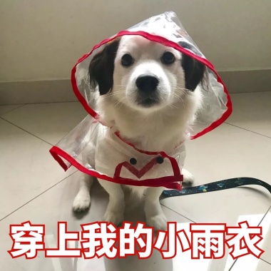 表情简约辞旧迎新喜迎元旦促销活动红色恶动态李云龙搞模板包图片