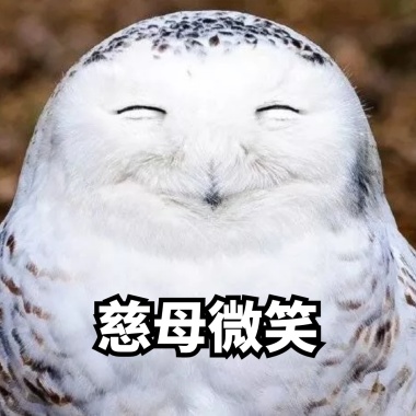 老表情般v表情表情心动吧态懂意思比你母亲包我图片