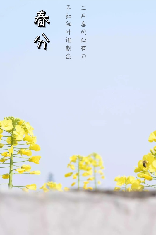 远离美文_又因我不会画水流透明的动感
