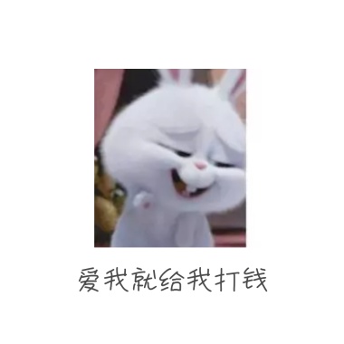 女孩日常图片之哈哈哈哈表情害羞表情包兔子回复图片