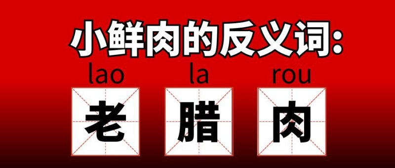 小鲜肉反义词田字格红色创意公众号封面首图