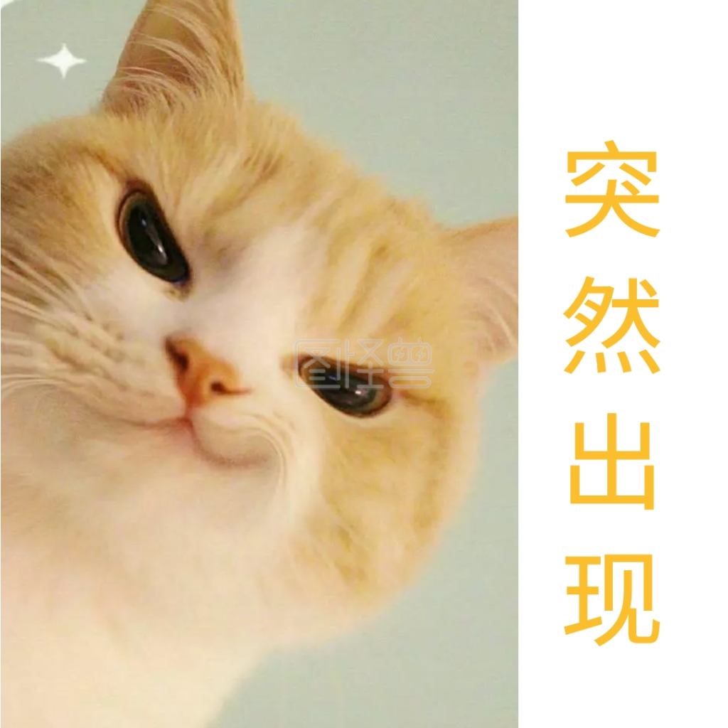 的表情晚安超猫咪表情包孩子哈哈大笑图片可爱 表情包之园