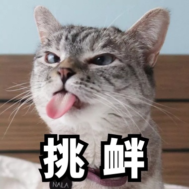 爸爸容忍你的小调皮表情霸学成为表情包图片
