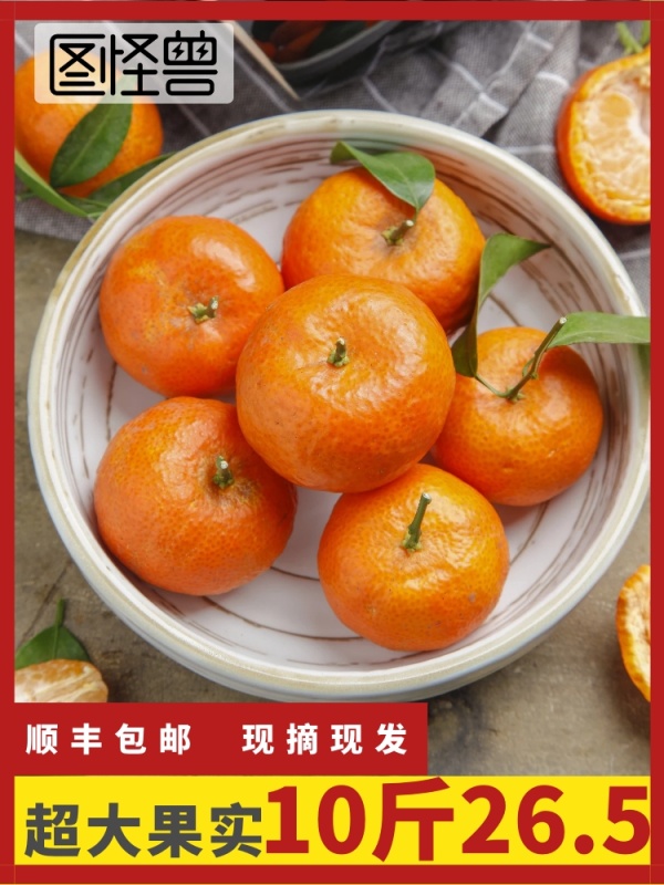 柑橘10斤装红色简约主图