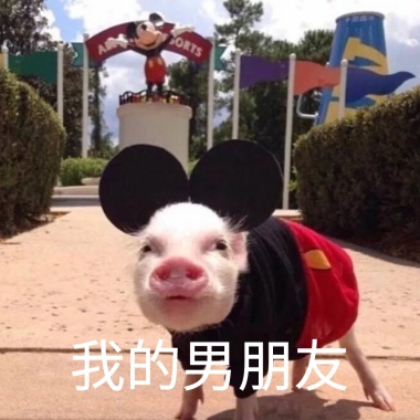 就是上的我表情表面那不表情包图片