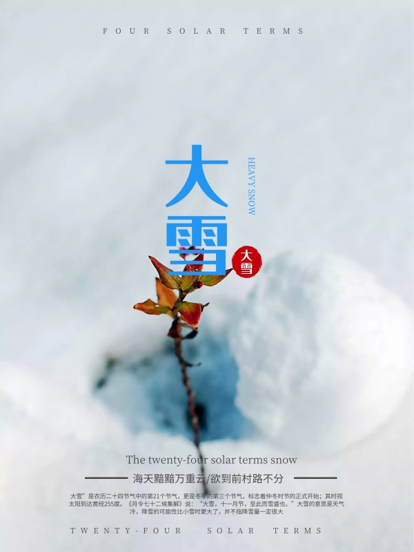 清新唯美二十四节气之大雪节气海报