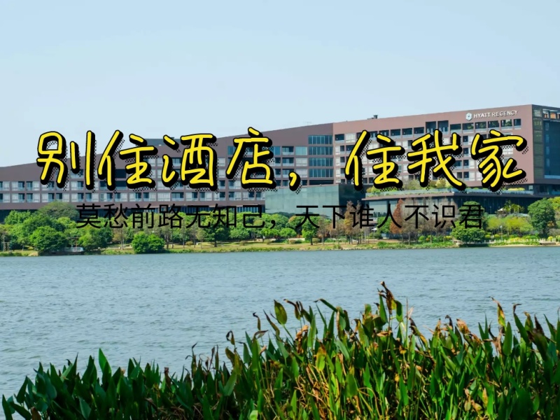 房屋出租清新简约仙人掌公众号配图